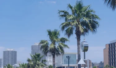 東京都中央区の不動産売却や賃貸仲介はBe House日本橋茅場町店